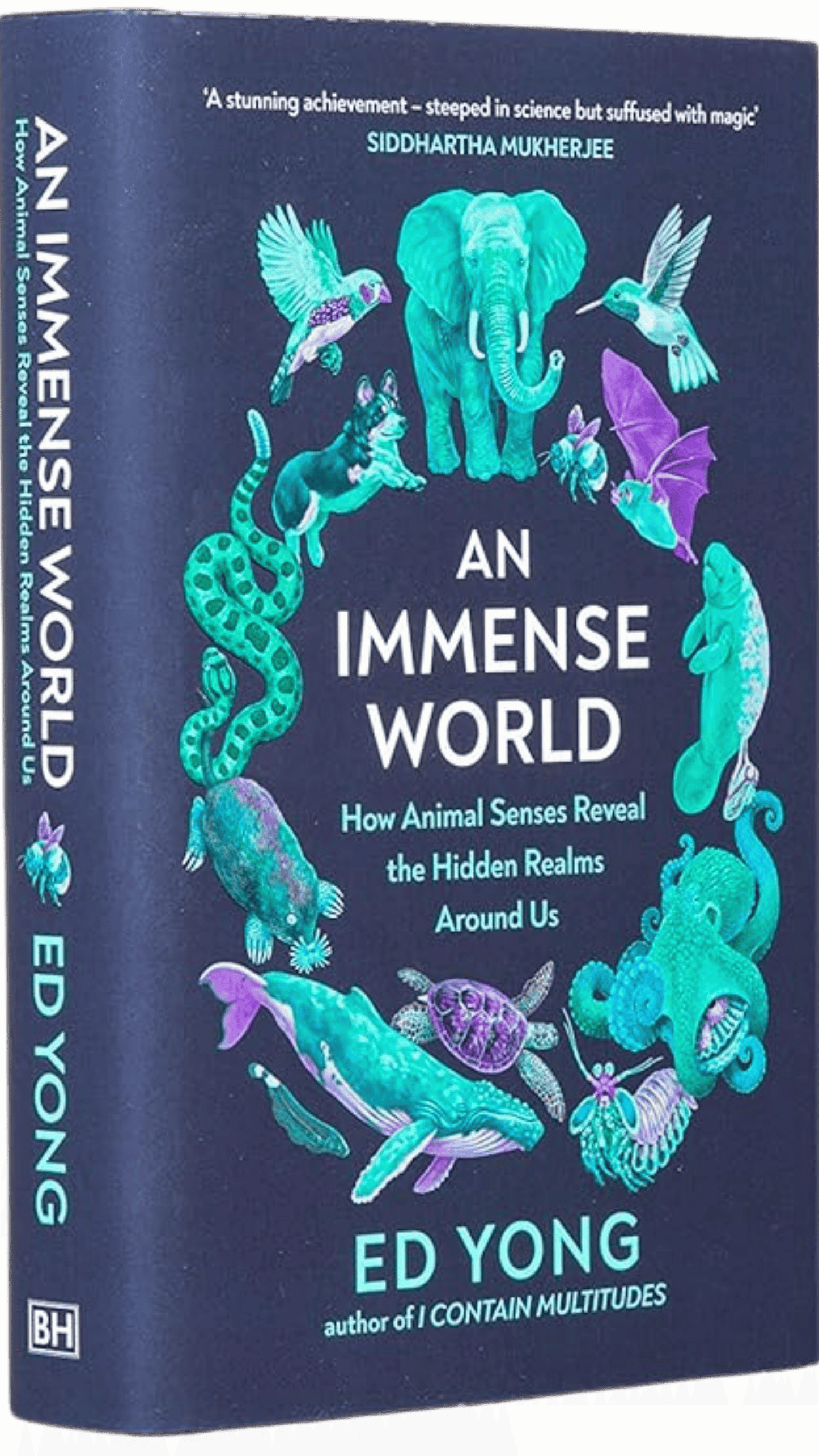 An Immense World: How Animal Senses Reveal the Hidden Realms Around Us